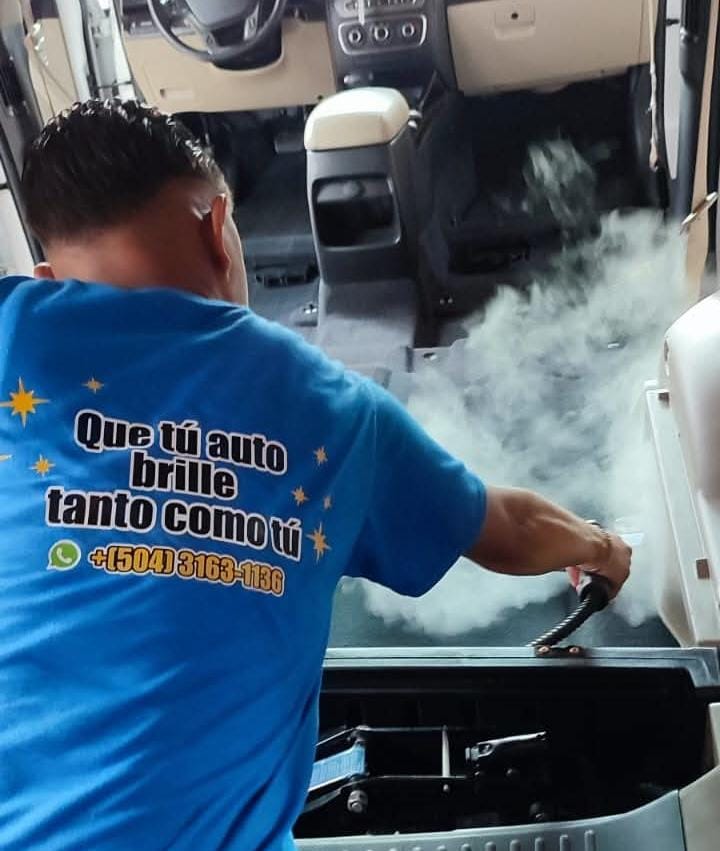 Servicio de Fumigación por Plagas