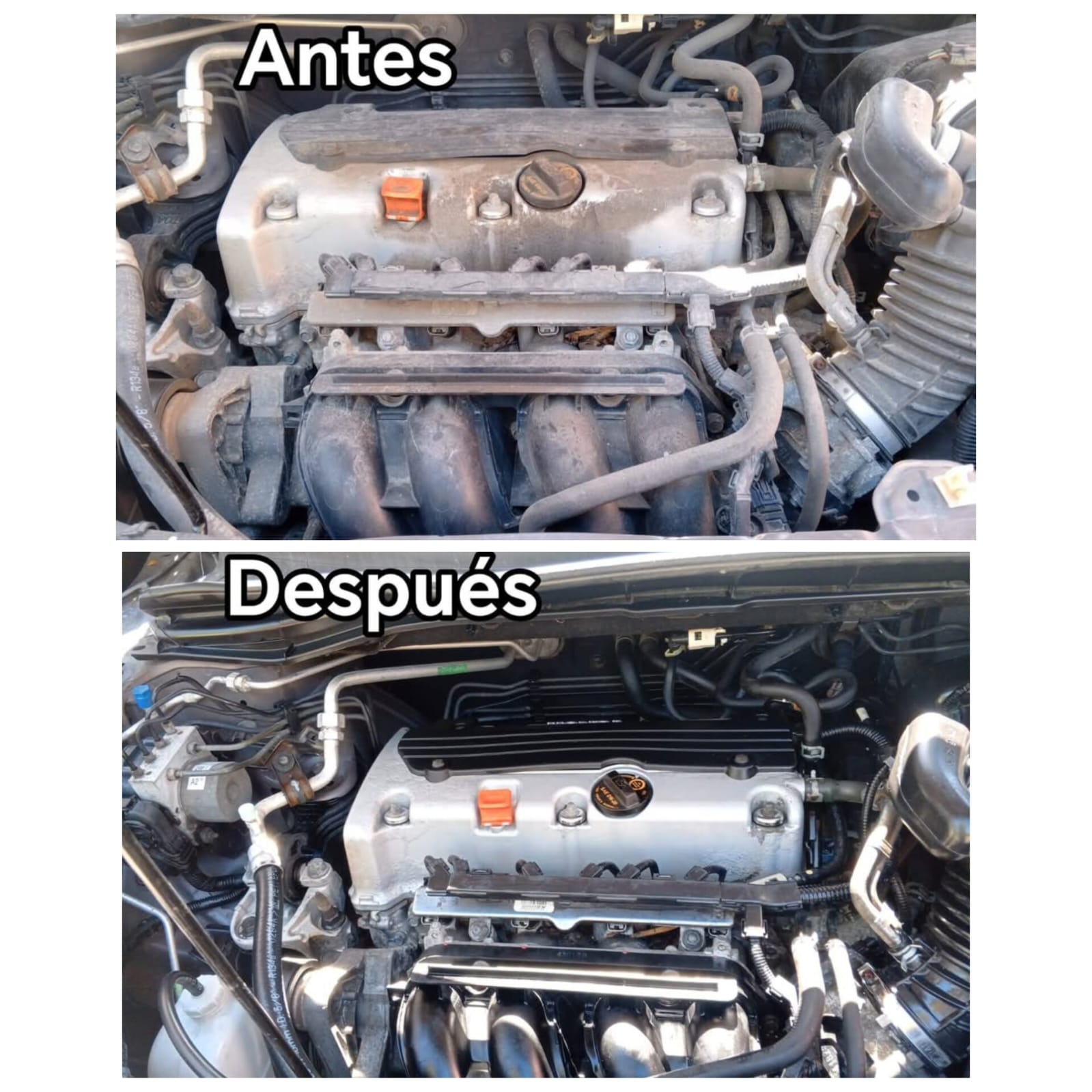 Lavado de Motor y Carrocería