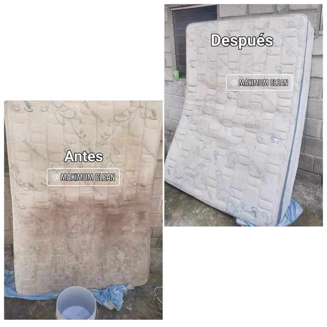 Shampuseado colchón
