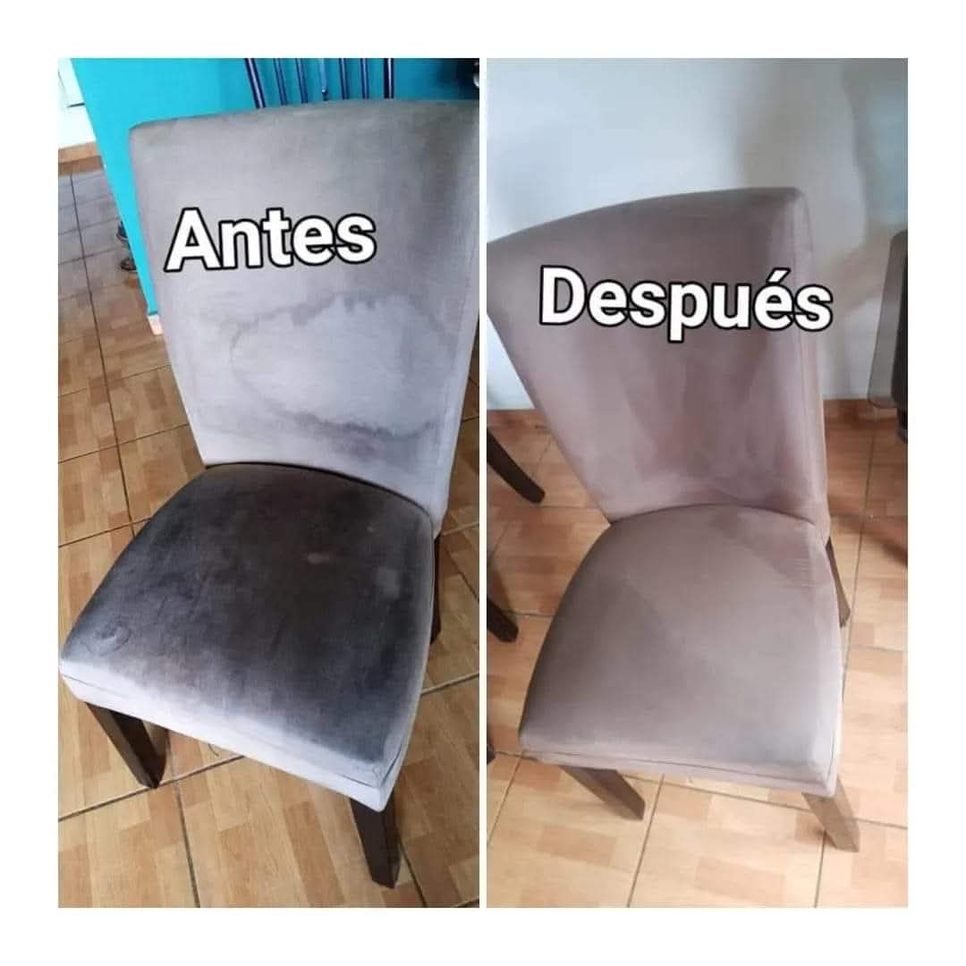 Shampuseado sillas